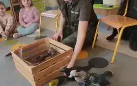 Galeria aktualności SPOTKANIE &quot;MOTYLK&Oacute;W&quot; Z LEŚNIKIEM 14