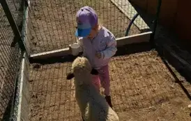 Wycieczka "Misi&oacute;w" do Wiewiecka 6