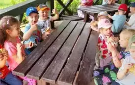 Galeria aktualności "BIEDRONKI" W NADLEŚNICTWIE DRAWSKO! 2