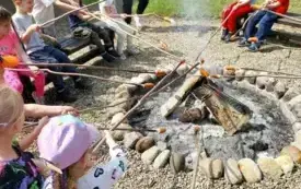 Galeria aktualności "BIEDRONKI" W NADLEŚNICTWIE DRAWSKO! 3