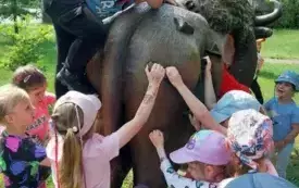 Galeria aktualności "BIEDRONKI" W NADLEŚNICTWIE DRAWSKO! 4