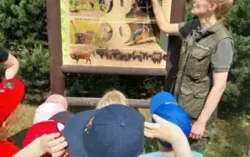 Galeria aktualności "BIEDRONKI" W NADLEŚNICTWIE DRAWSKO! 5