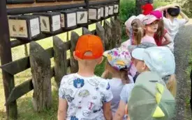 Galeria aktualności "BIEDRONKI" W NADLEŚNICTWIE DRAWSKO! 6