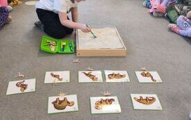 Galeria aktualności DZIEŃ DINOZAURA! 8