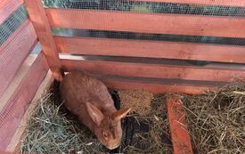 Galeria aktualności KR&Oacute;LICZEK W PRZEDSZKOLU! 1