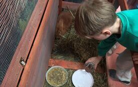 Galeria aktualności KR&Oacute;LICZEK W PRZEDSZKOLU! 3