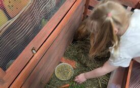 Galeria aktualności KR&Oacute;LICZEK W PRZEDSZKOLU! 4