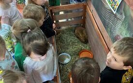 Galeria aktualności KR&Oacute;LICZEK W PRZEDSZKOLU! 5