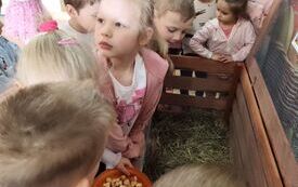 Galeria aktualności KR&Oacute;LICZEK W PRZEDSZKOLU! 7