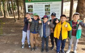 Galeria aktualności WYCIECZKA 6-LATK&Oacute;W DO PARKU ROZRYWKI "OWADOGIGANT"! 6