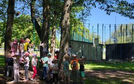 Galeria aktualności ŻABKI W PARKU MIEJSKIM! 1