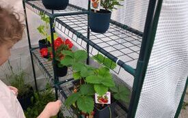 Galeria aktualności ŻABKI W OGR&Oacute;DKU PRZEDSZKOLNYM! 4