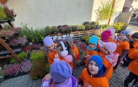 Galeria aktualności JESIENNE ODKRYCIA W SKLEPIE OGRODNICZYM I WIZYTA NA POCZCIE- MISIE! 8