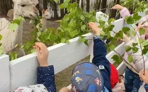 Zdjęcie do WYCIECZKA 3-LATK&Oacute;W DO &quot;ZIELONEGO ZAKĄTKA&quot;