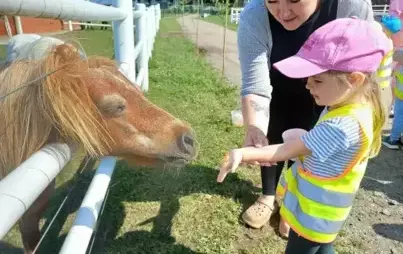 Wiewiecko