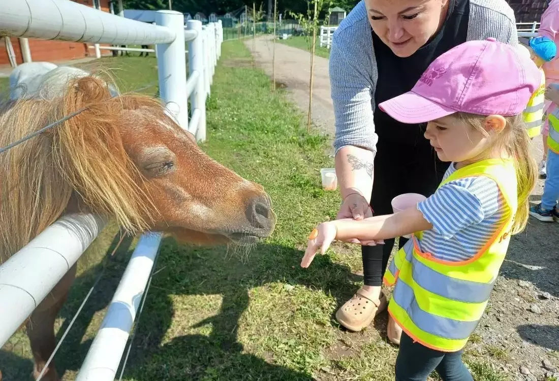 Zdjęcie do WYCIECZKA &bdquo;JEŻYK&Oacute;W&rdquo; I &bdquo;SMERF&Oacute;W&rdquo; DO &bdquo;ZIELONEGO ZAKĄTKA&rdquo; W WIEWIECKU