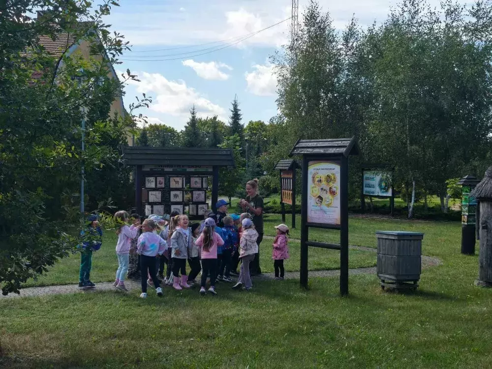 Zdjęcie do "Żabki" W NADLEŚNICTWIE DRAWSKO POMORSKIE!