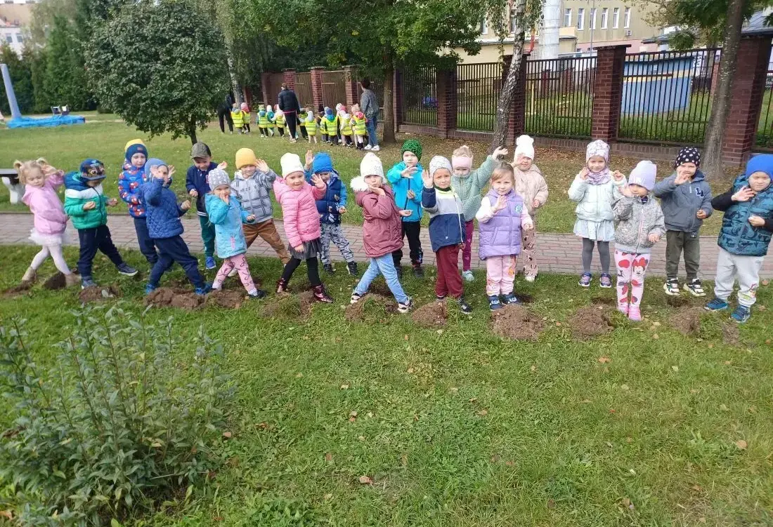 Zdjęcie do "JEŻYKI" I "SMERFY" SADZĄ KROKUSY