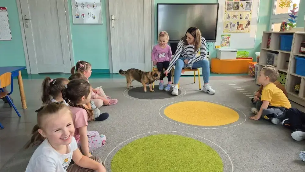 Zdjęcie do "MISIE" ŚWIĘTUJĄ DZIEŃ KUNDELKA!