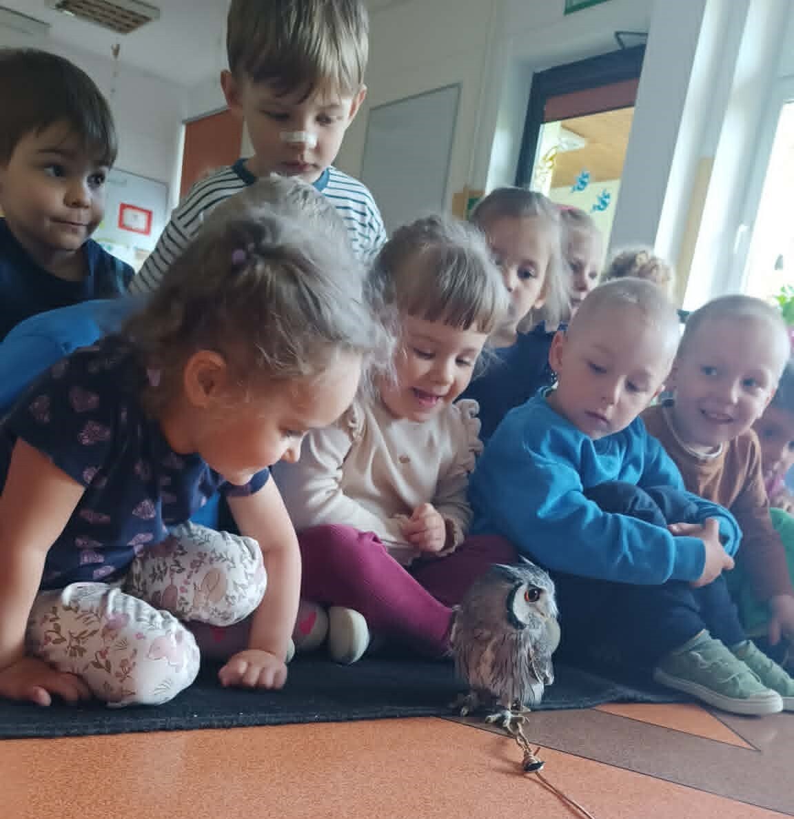 Zdjęcie do SOWY W PRZEDSZKOLU